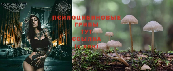 хмурый Волоколамск