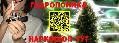 молекула духа Изобильный