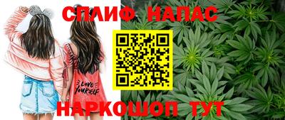 амф Берёзовский