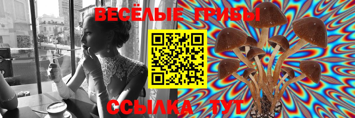 Псилоцибиновые грибы MAGIC MUSHROOMS  Можайск 